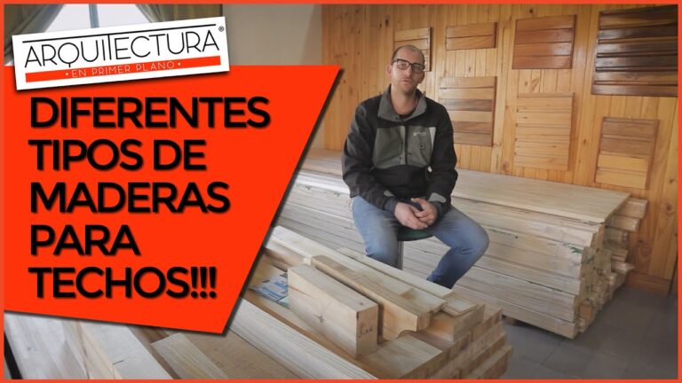 Gu&iacute;a de Tipos de Madera para Techos