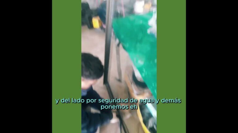 Protección y estética en cerramientos de aluminio: la combinación perfecta