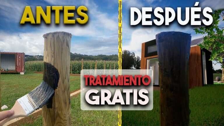 Guía para el mantenimiento de cerramientos de madera